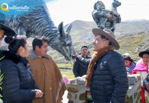 IX Feria de la Llama y la Transformación de sus Derivados (lana y carne)